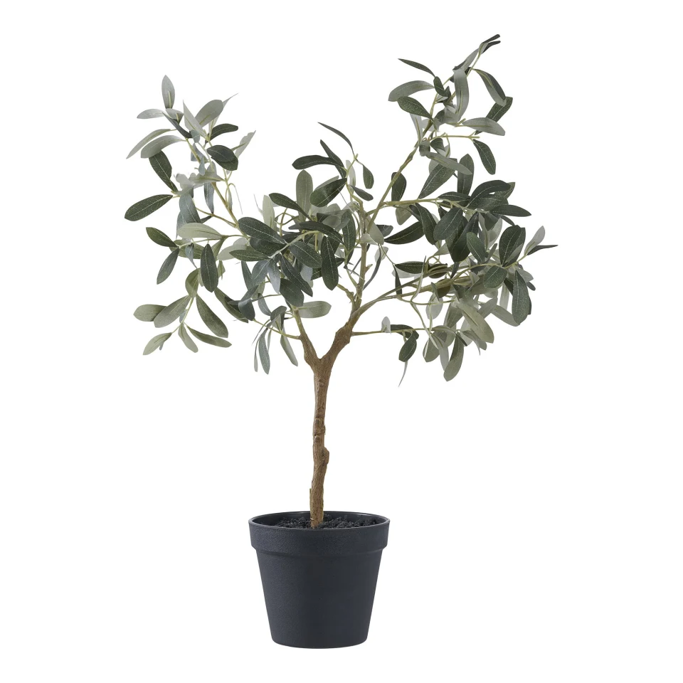 Olive Tree - Umjetna biljka, zelena H:61 cm