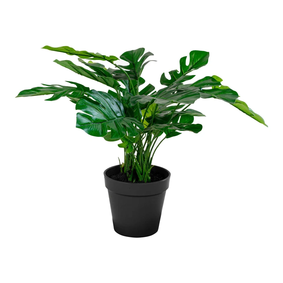 Monstera - Umjetna biljka, zelena H:45 cm