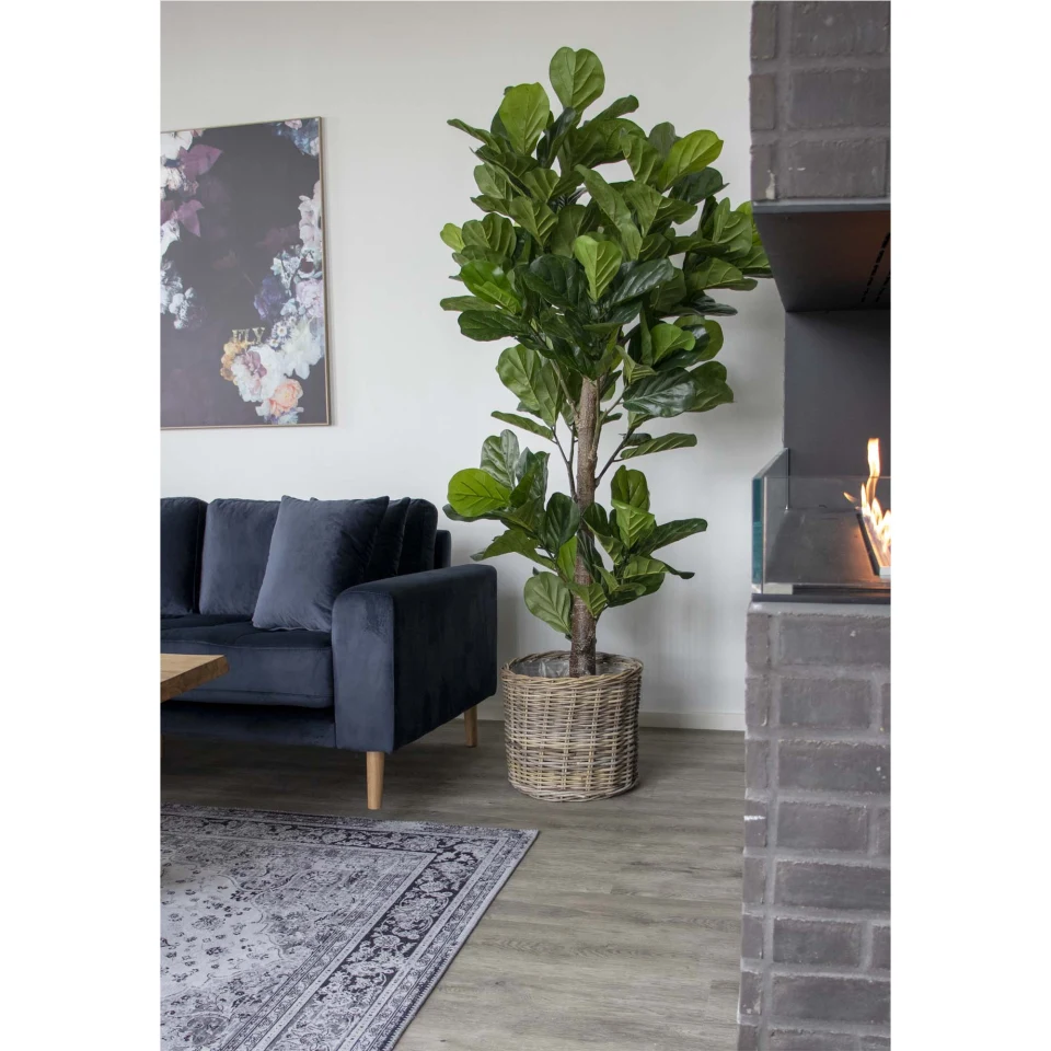 Fiddle Leaf Tree - Umjetna biljka, zelena H:190 cm
