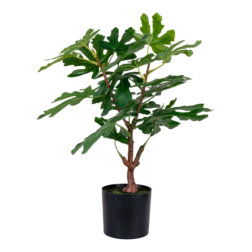 Fig Tree - Umjetna biljka, zelena H:60 cm