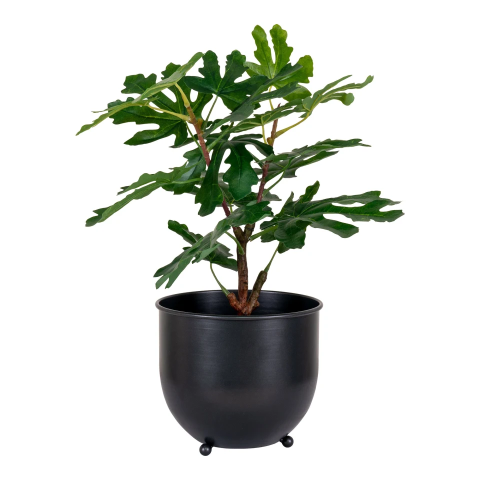 Fig Tree - Umjetna biljka, zelena H:60 cm