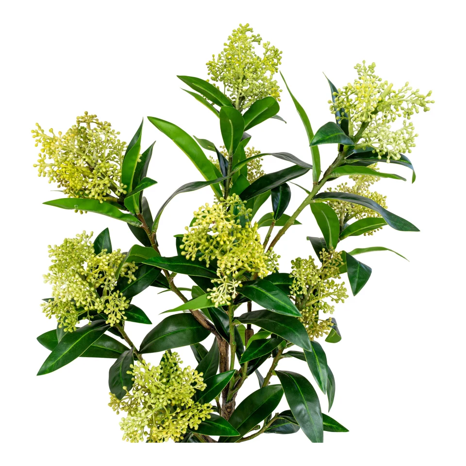 Skimmia Tree - Umjetna biljka, zelena H:75 cm