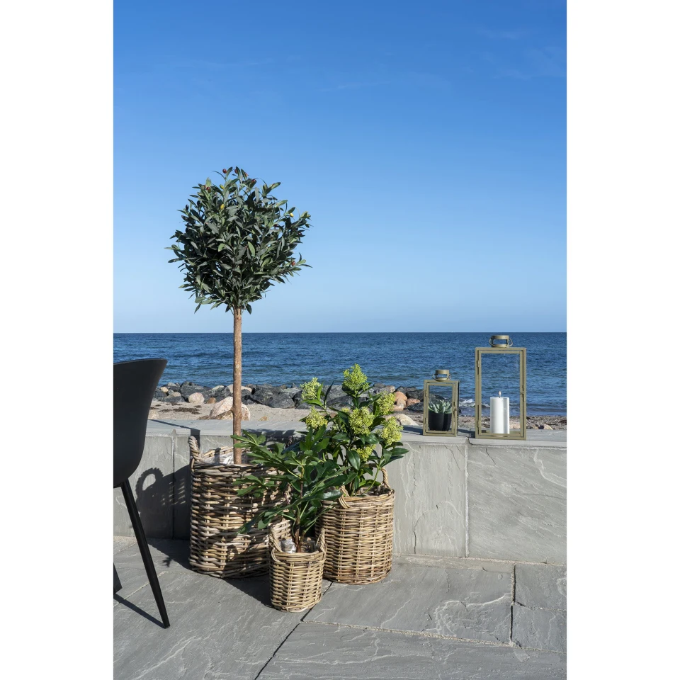 Skimmia Tree - Umjetna biljka, zelena H:75 cm