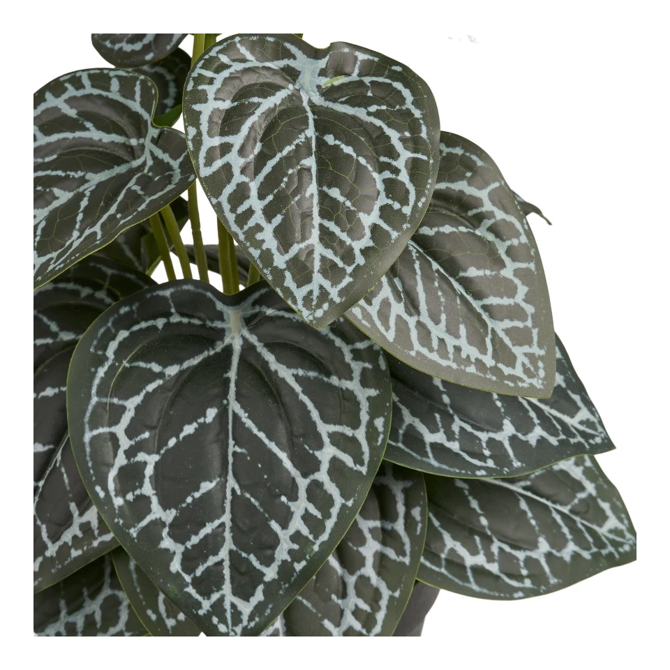 Umjetna biljka - Biljka, zelena H: 33 cm